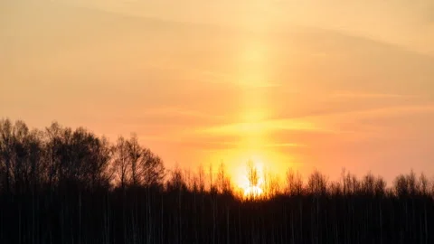 The sun rises on a background of trees. Stock Footage 106297880