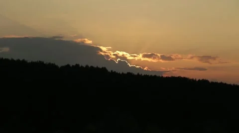 The sun rises from behind the forest Stock Footage 44019123