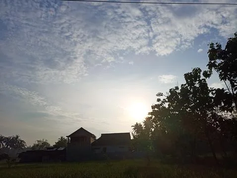 The sun rises behind the trees and people's houses Stock Photos