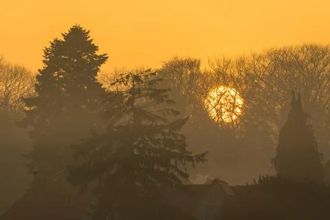 The sun rises behind the trees Stock Photos