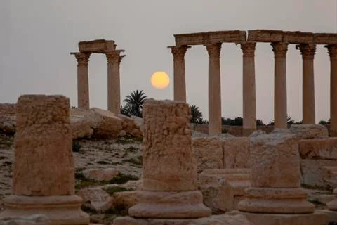 Sun rises between the stone pillars of the ancient ruins in Palmyra, Syria. Stock Photos