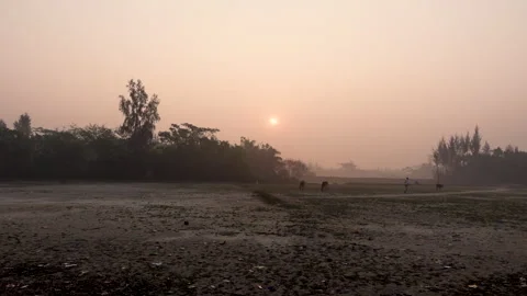The sun rises on a mild winter morning. Stock Footage 340528820