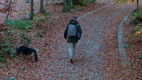 As the sun rises over the forest, a man and his German Shepherd share a mom.. Stock-Footage 256213184