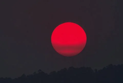 Sun rises over the meadow and trees. Landscape sunrise closeup. Stock Footage 307399360