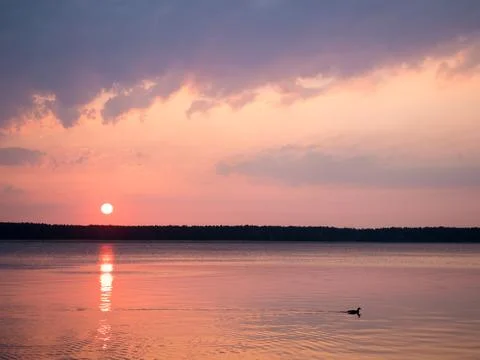 The sun rises over a quiet forest lake Stock Photos