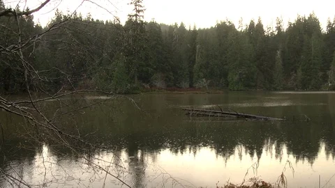 Sun rises over small lake during rainstorm Olympic Peninsula Stock Footage 70822903