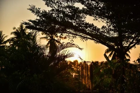 Sun rises Stock Photos