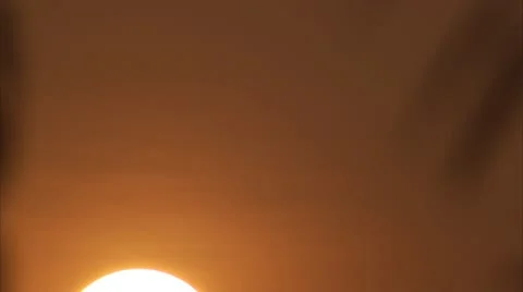 Sun Rising From Between Tree  Video Video stock 12761564