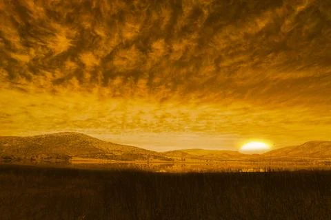 Sun rising in flat design, casting golden light on tall grasses, calm pond, Ilustración de archivo