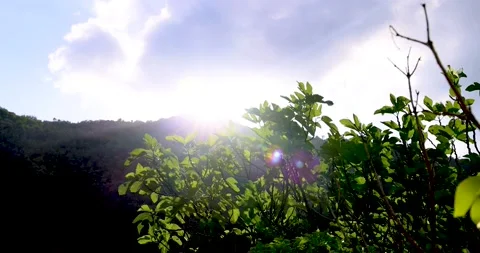 Sun rising from the lush hill and defying the clouds Stock Footage 213619178