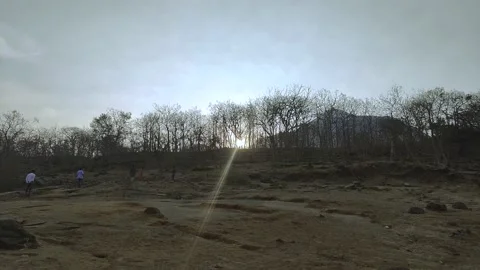 The Sun Rising in the middle of the forest with summer trees. Landscape Stock Footage 237089229