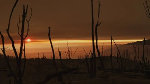 Sun rising over a desolate wildfire burn scar Stockbeeldmateriaal 332960108