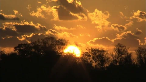 Sun rising over forest Stock Footage 74096232
