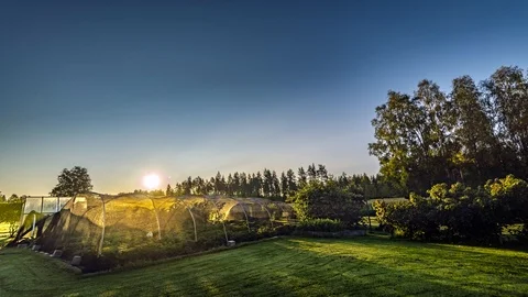 Sun rising over garden clear blue skies Northern Sweden, summer Stock Footage 89961301