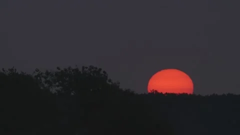 Sun rising over hill and treetops Stock Footage 139781018