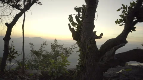 The sun is rising over the horizon. Stock Footage 251697290
