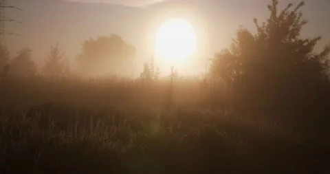 The sun rising over the meadow Stock Footage 152850552