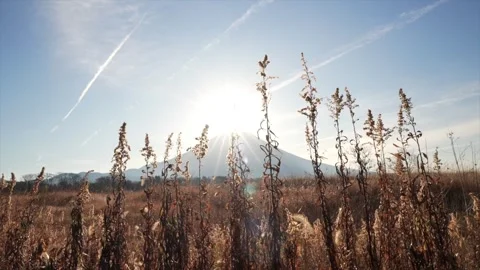 Sun rising over Mt Fuji during the Diamond Fuji Effect Stock Footage 331293110