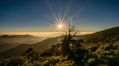 The sun rising over the old tree of Hambaeksan Mountain. 库存影片 145741973