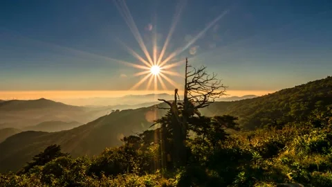 The sun rising over the old tree of Hambaeksan Mountain. Zoom out Stock Footage 145741977