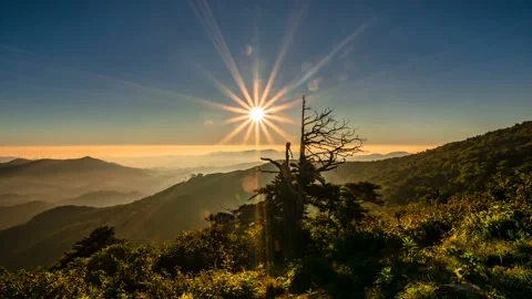 The sun rising over the old tree of Hambaeksan Mountain. Zoom in 스톡 동영상 145744400