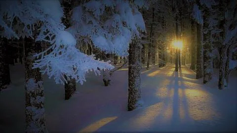 Sun rising Stock Photos