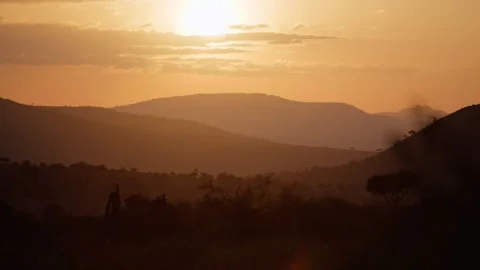 Sun rising in rolling hills in savannah with few clouds Stock Footage 310971804