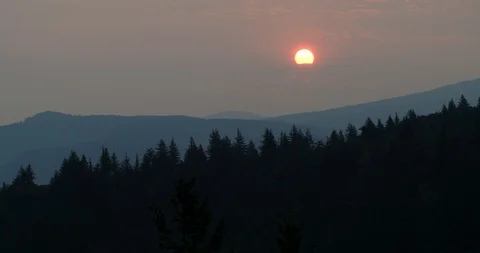 Sun rising through clouds in a smoky sky with forest and mountains Stock Footage 104455266
