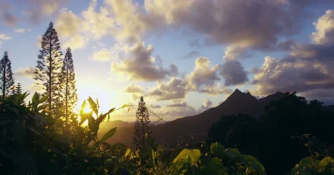 Sun rising through jungle canopy on Pali Mountain Range, Oahu, Hawaii 스톡 동영상 52452100