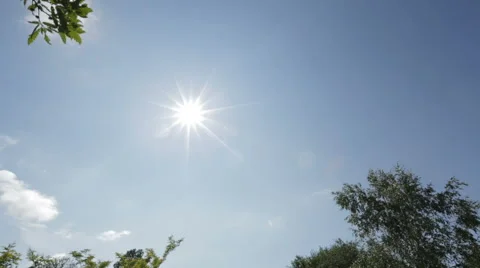 Sun rising through the leaves of the tree Vidéo 63618560