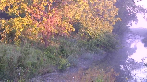 Sun on river Stock Footage 907956