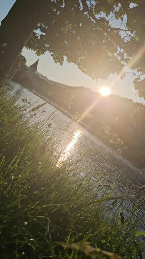 Sun on the river Stockbeeldmateriaal 319361226