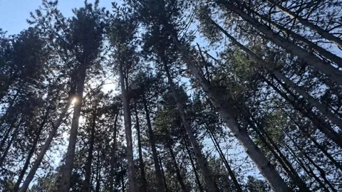 Sun is Running Away Footage Video stock 248355333