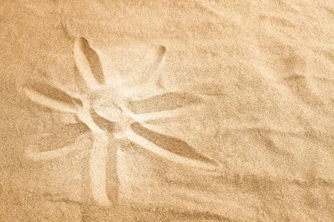 Sun on sand Stock Photos