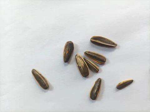 Sun seed snack Stock Photos