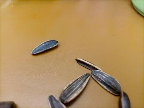 Sun seed snack Stock Photos