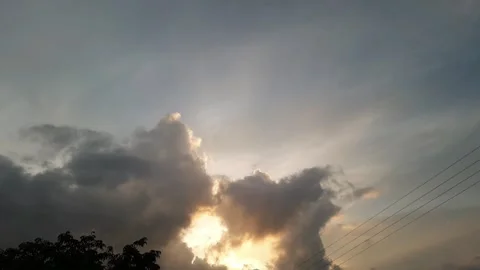 Sun seeker  Video stock 282170272