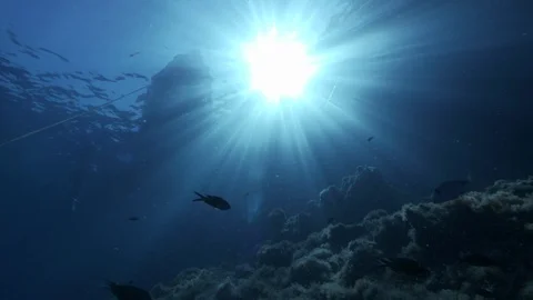 Sun seen from under the sea with rocks, Ustica, Mediterranean sea Stock Footage 124502263