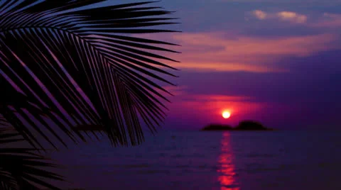 Sun set beach Stock Footage 24766093