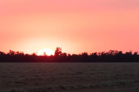 The sun set behind the trees and illuminates the sky with bright rays, with r Stock Photos