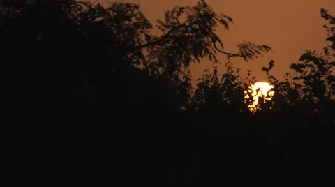 Sun set in JOS 库存影片 46744873