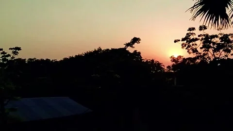 Sun set in in last tree HD video in asia bangladesh 스톡 동영상 302643310