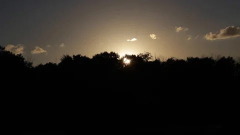 SUN SET OVERTOP OF TREE-LINE Video stock 96316556