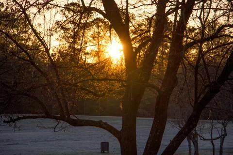 Sun Set at Park 스톡 사진