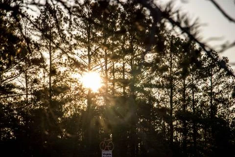 Sun Set at Park Stock Photos