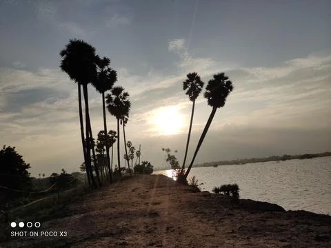 Sun Set Stock Photos