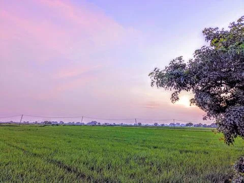 Sun set 스톡 사진