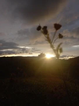 Sun set Stock Photos