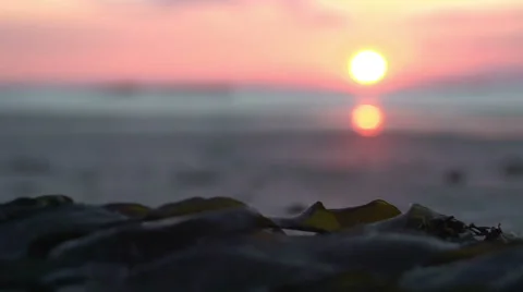 Sun set on a sandy beach Stock Footage 64228824