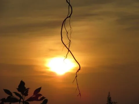Sun Set silhouette Photos